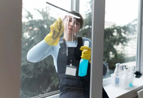 Nettoyage de vitres intérieures et extérieures à Saint-Aubin-le-Cloud